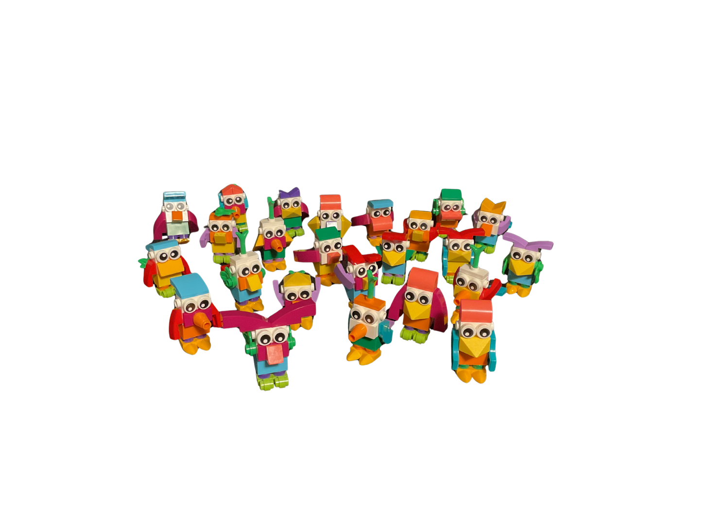 Build the Birds ~ Classroom Edition