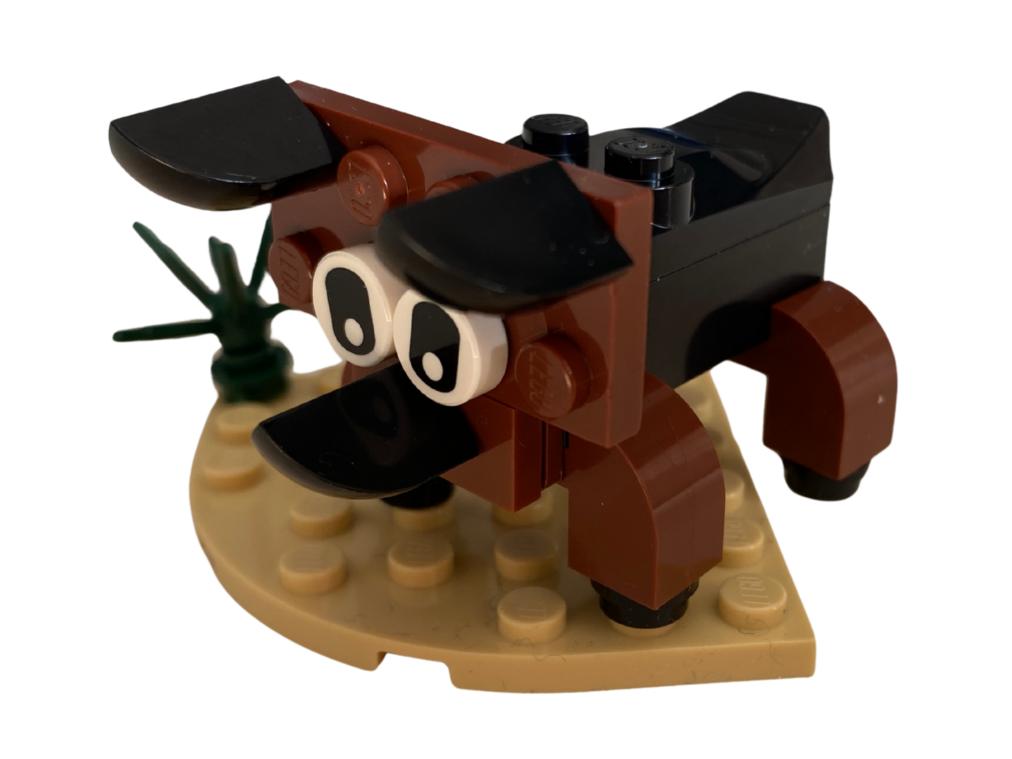 Build the Dinos ~ Dinosaur A Day