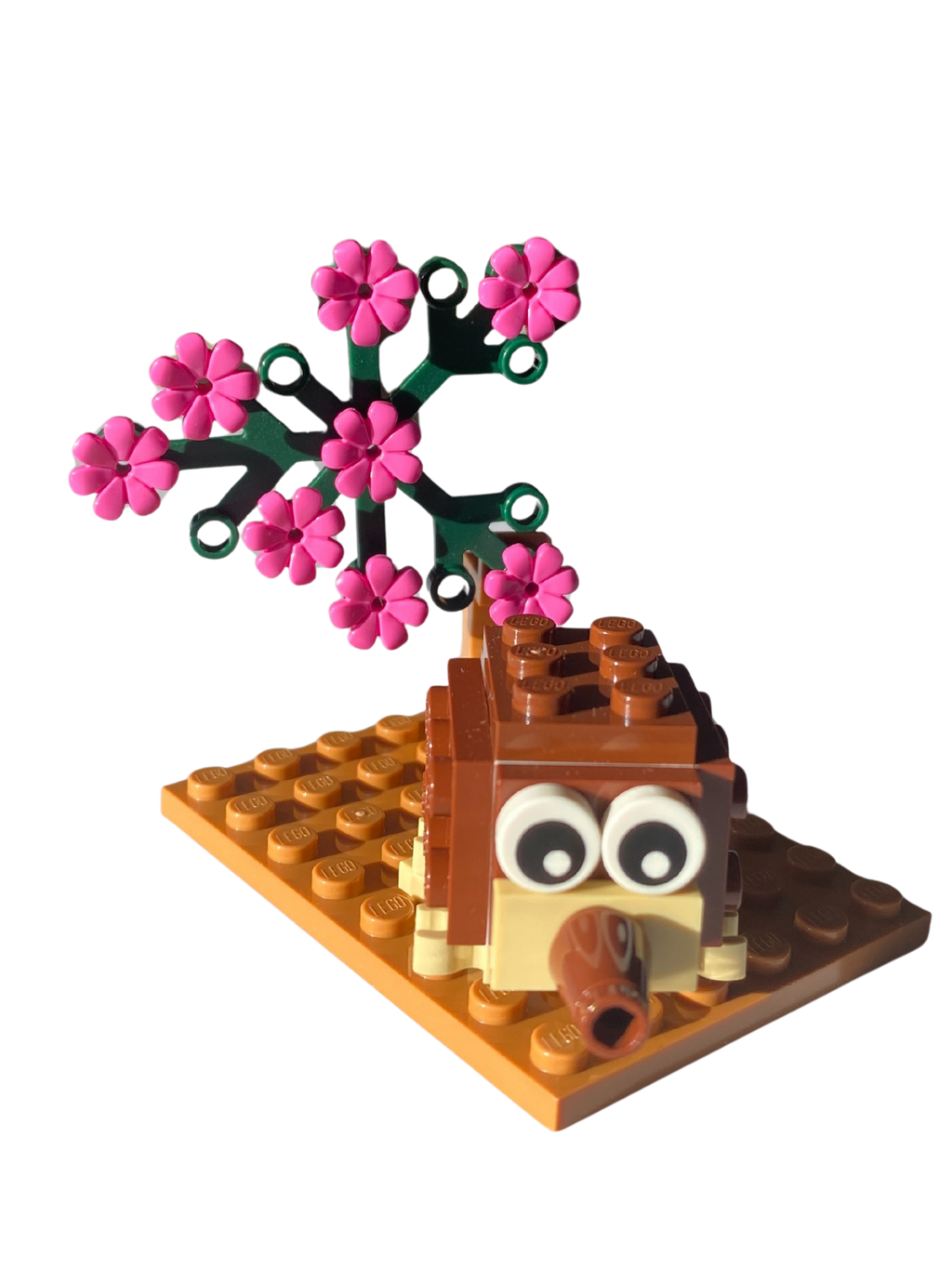Build the Animals ~ Animal A Day Kit