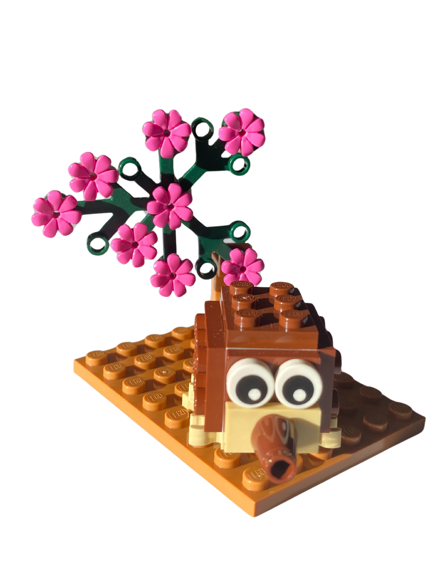 Build the Animals ~ Animal A Day