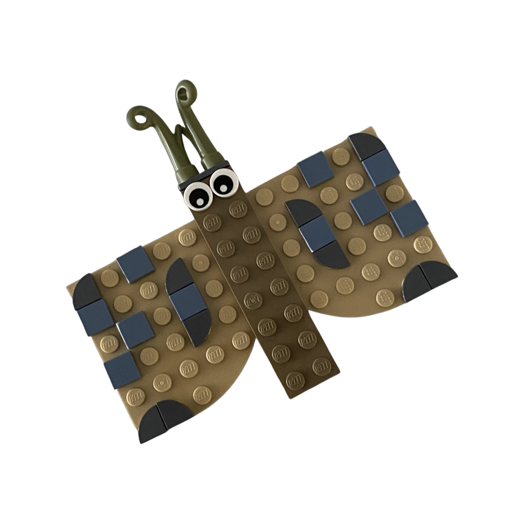 Bricks and Butterflies and Moths Kit