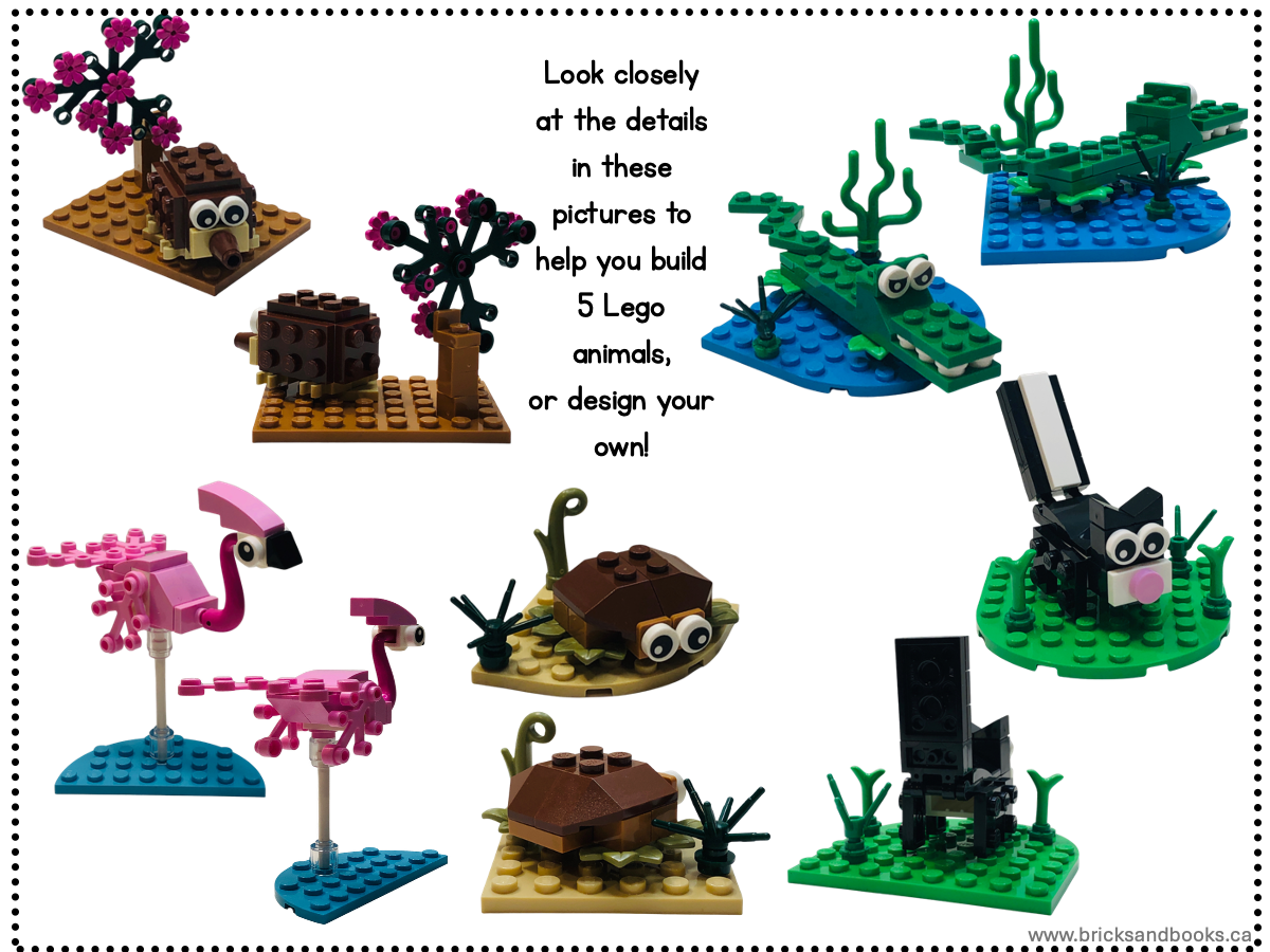 Build the Animals ~ Animal A Day