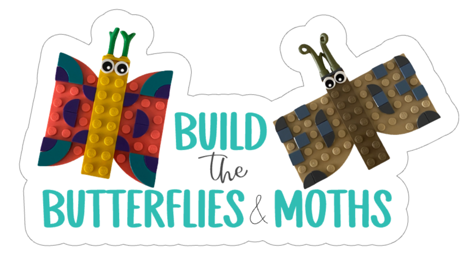 Build the Butterflies and Moths ~ Moth and Butterfly Ta-Da! Kit